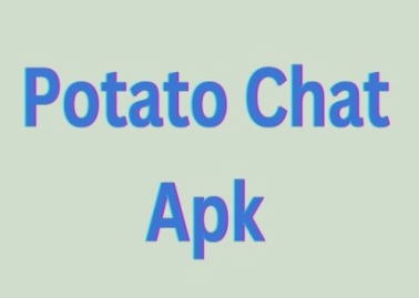 potato聊天官方下载